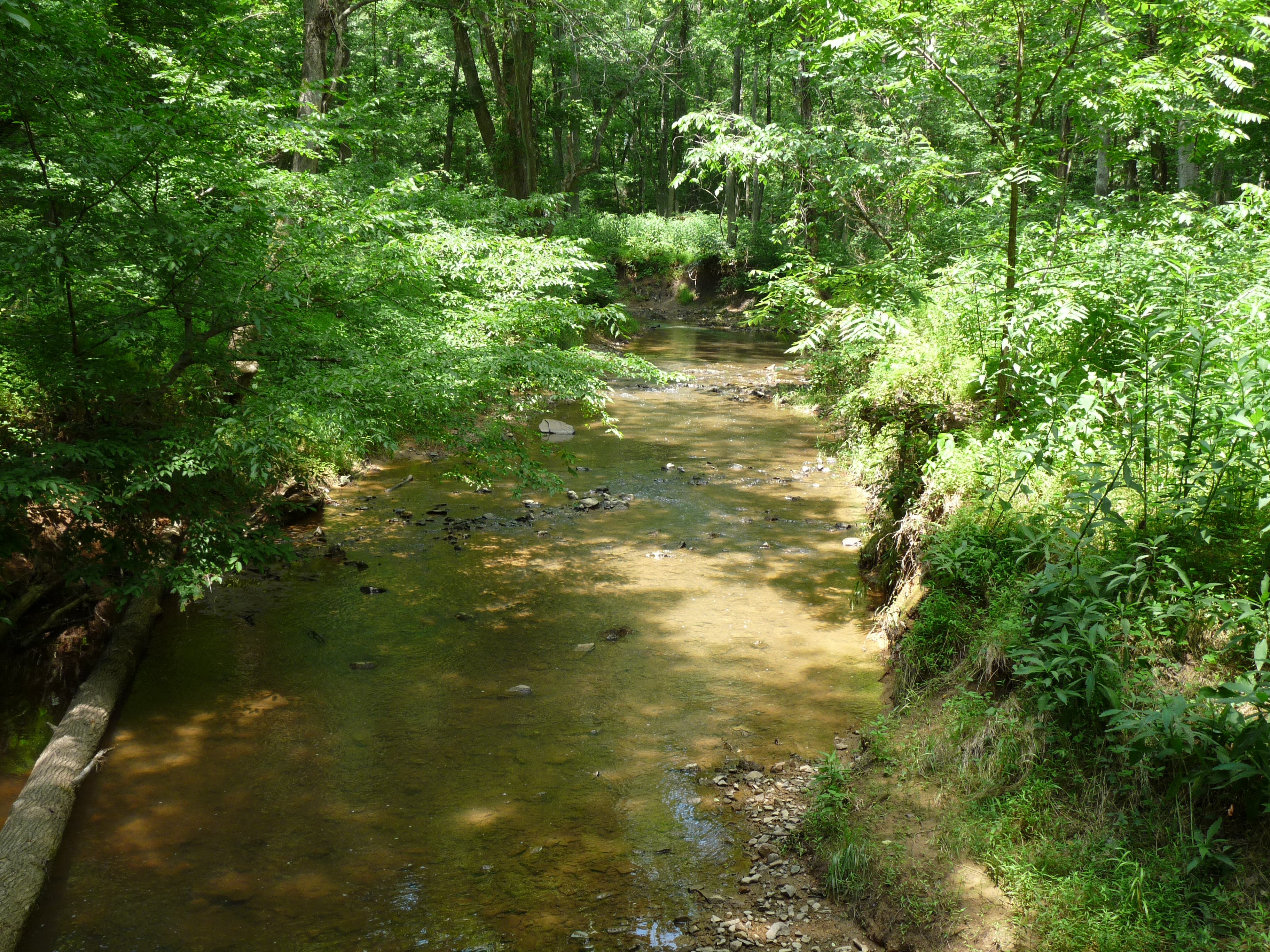 The trail continues None