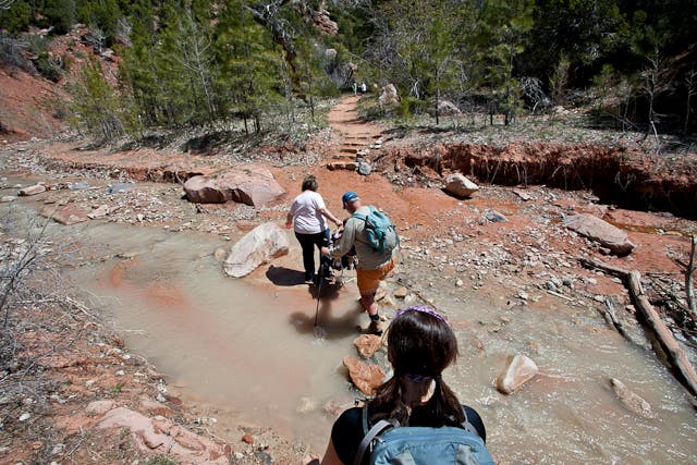 The trail crosses Taylor Creek often None