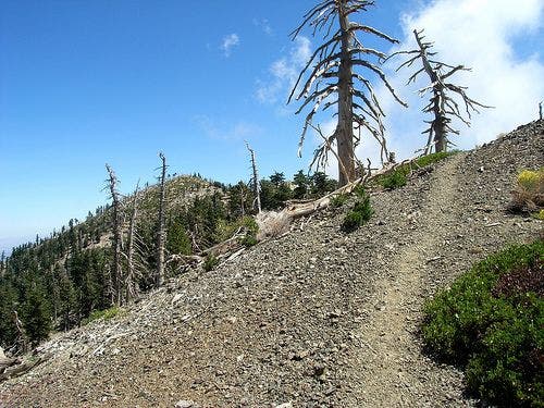 The trail to Bighorn Peak None