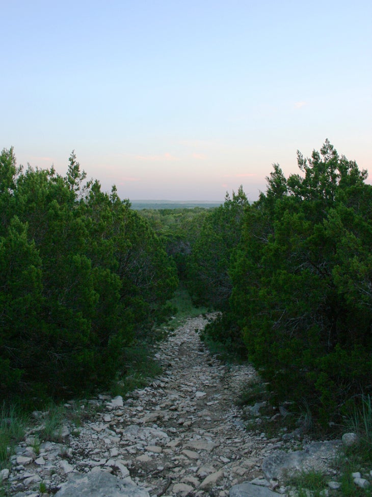 The Trail None