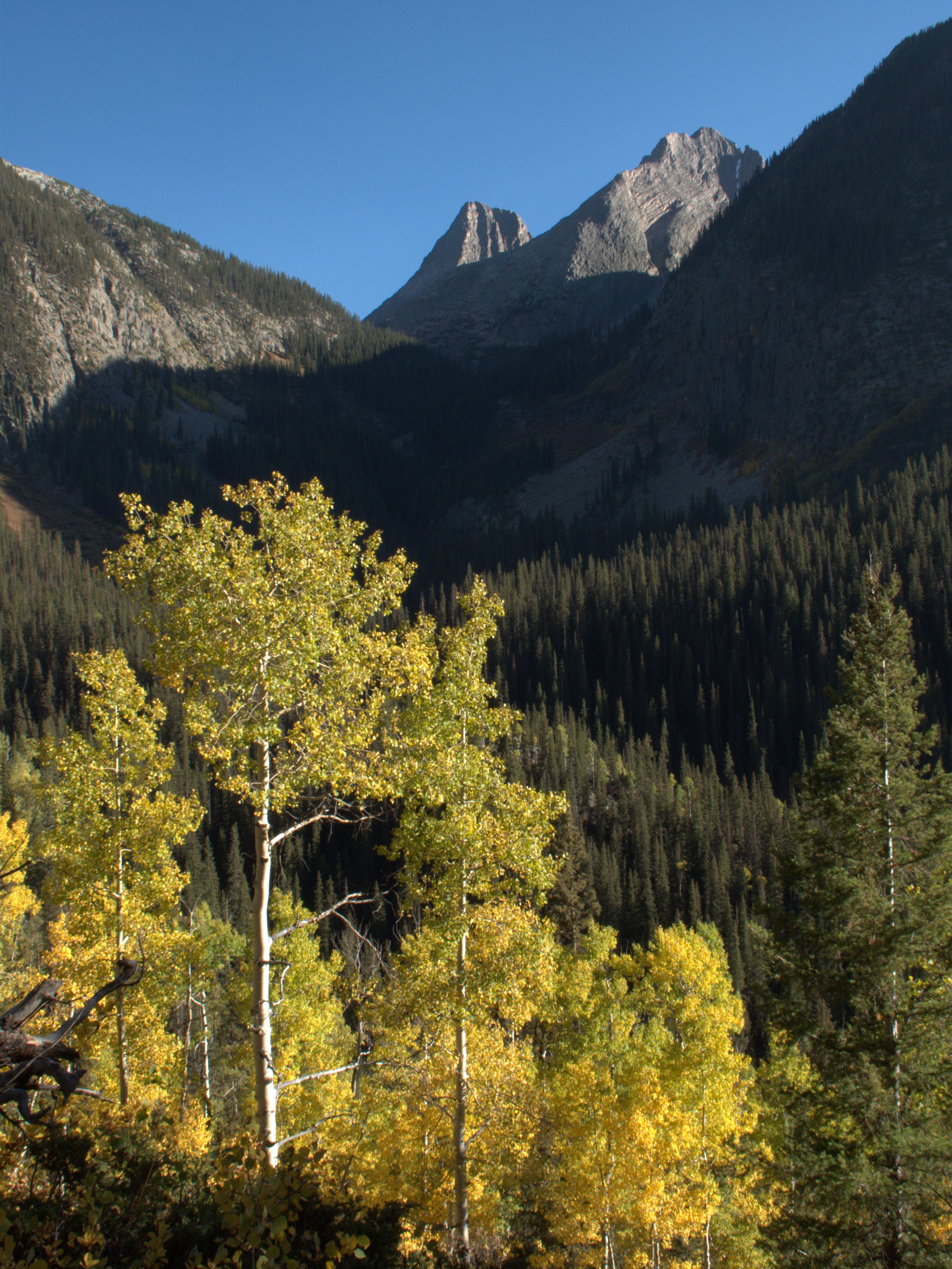 Wham Ridge and Vestal Peak against a bright blue sky as seen from the Colorado Trail between Stony Pass and Molas Lake Campground. 