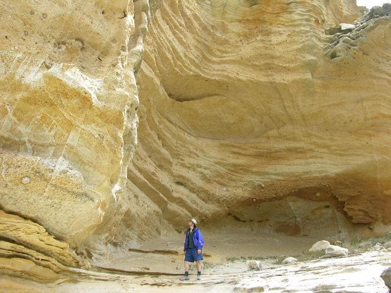 The walls of a tributary of Lobo Canyon None