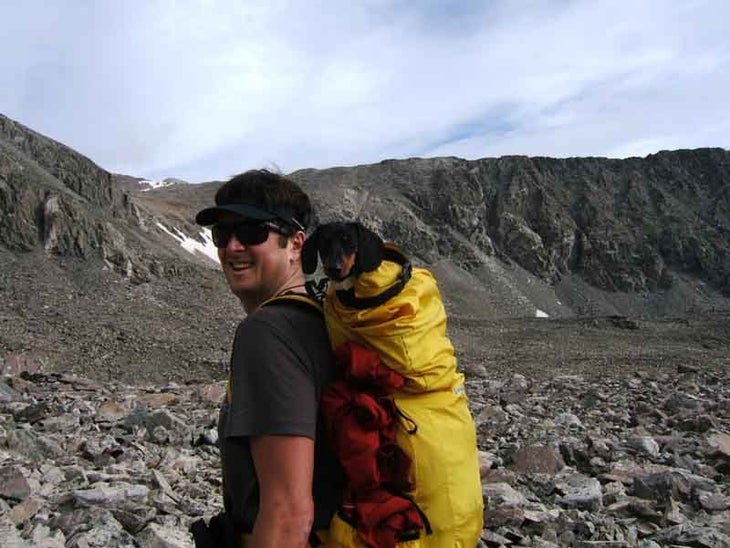 The world's smallest mountain dog None