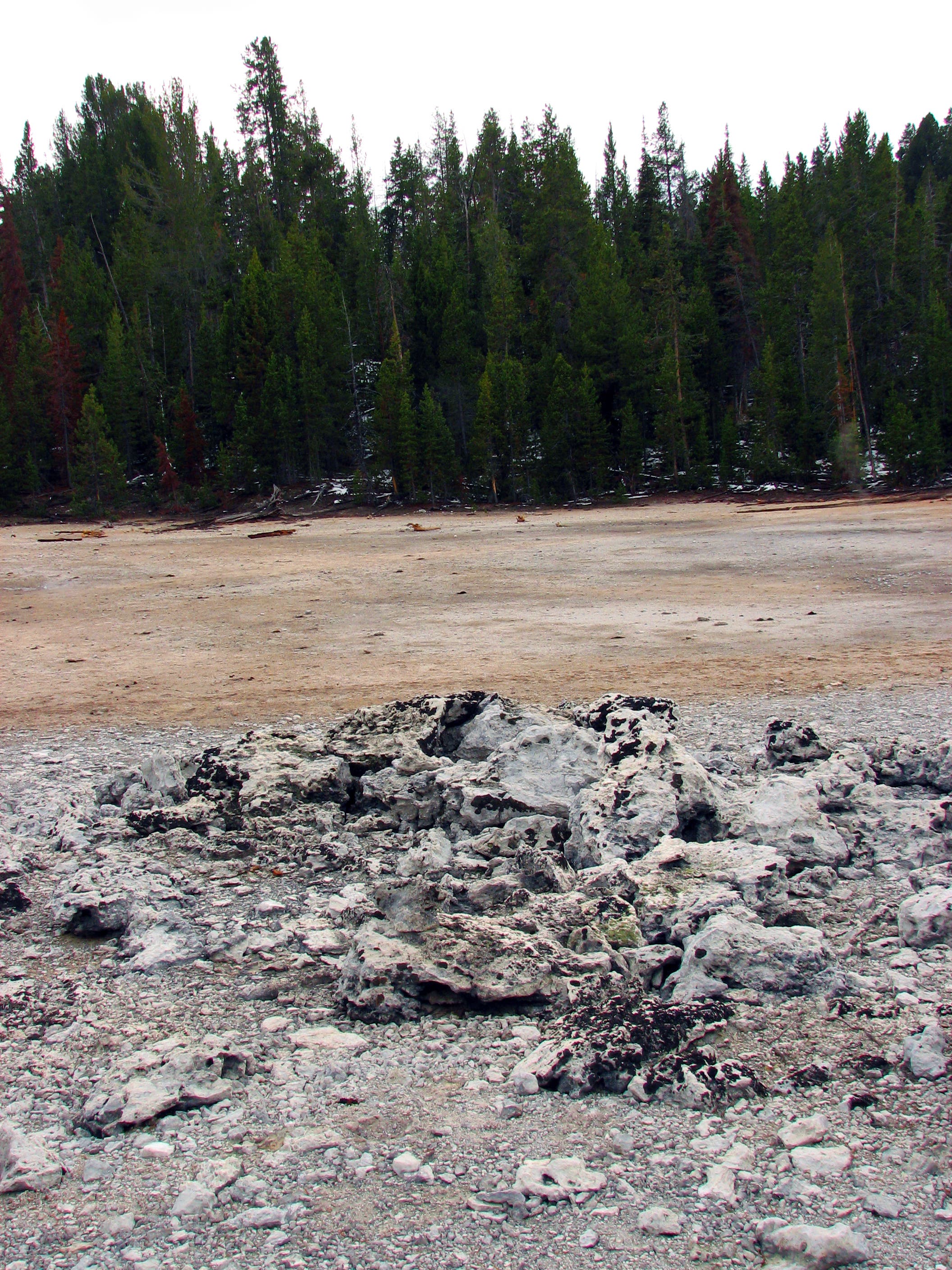 Thermal Activity None