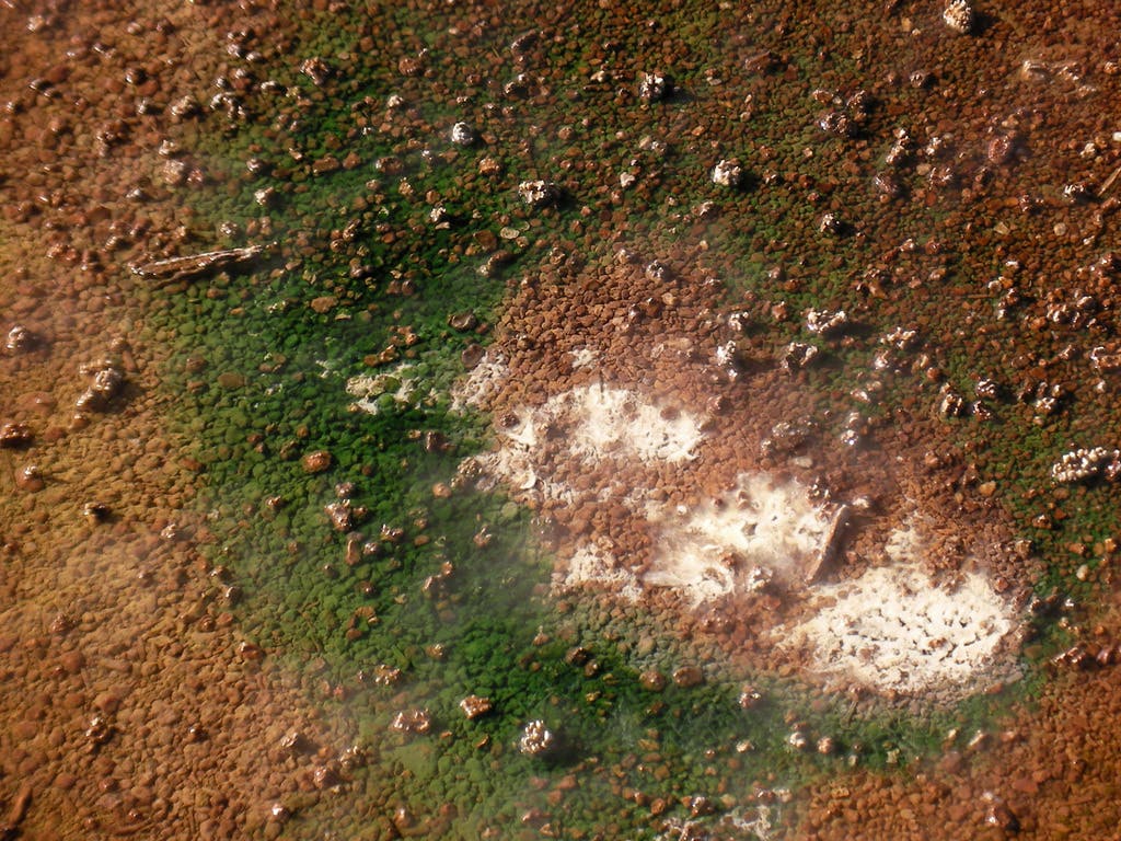 Thermal Features None