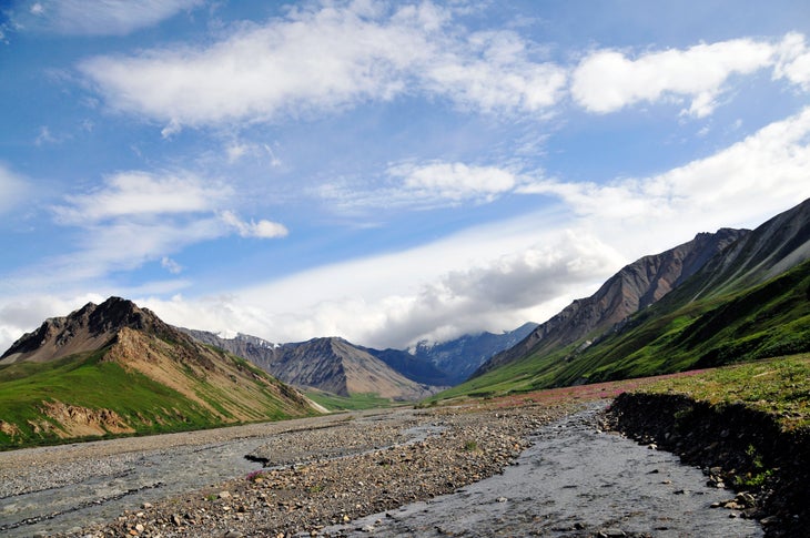 Thorofare River Gravel Bar None