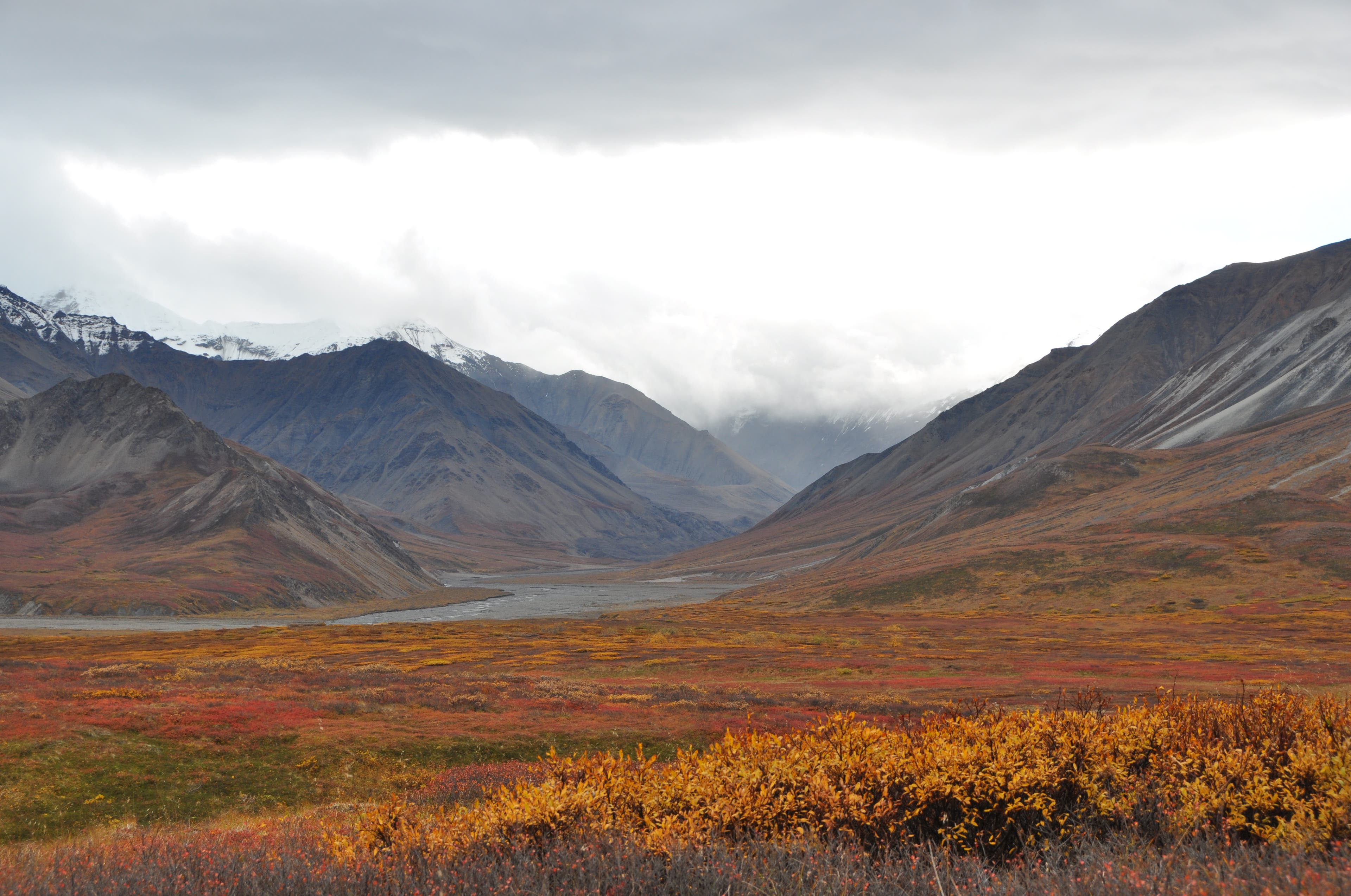 Thorofare Valley None