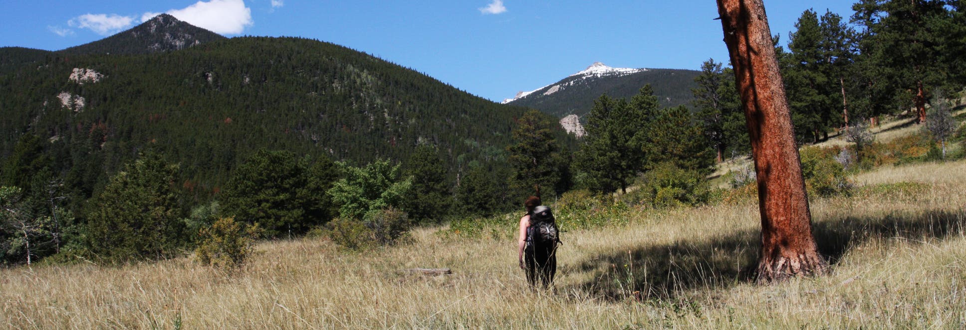 Through the meadow None