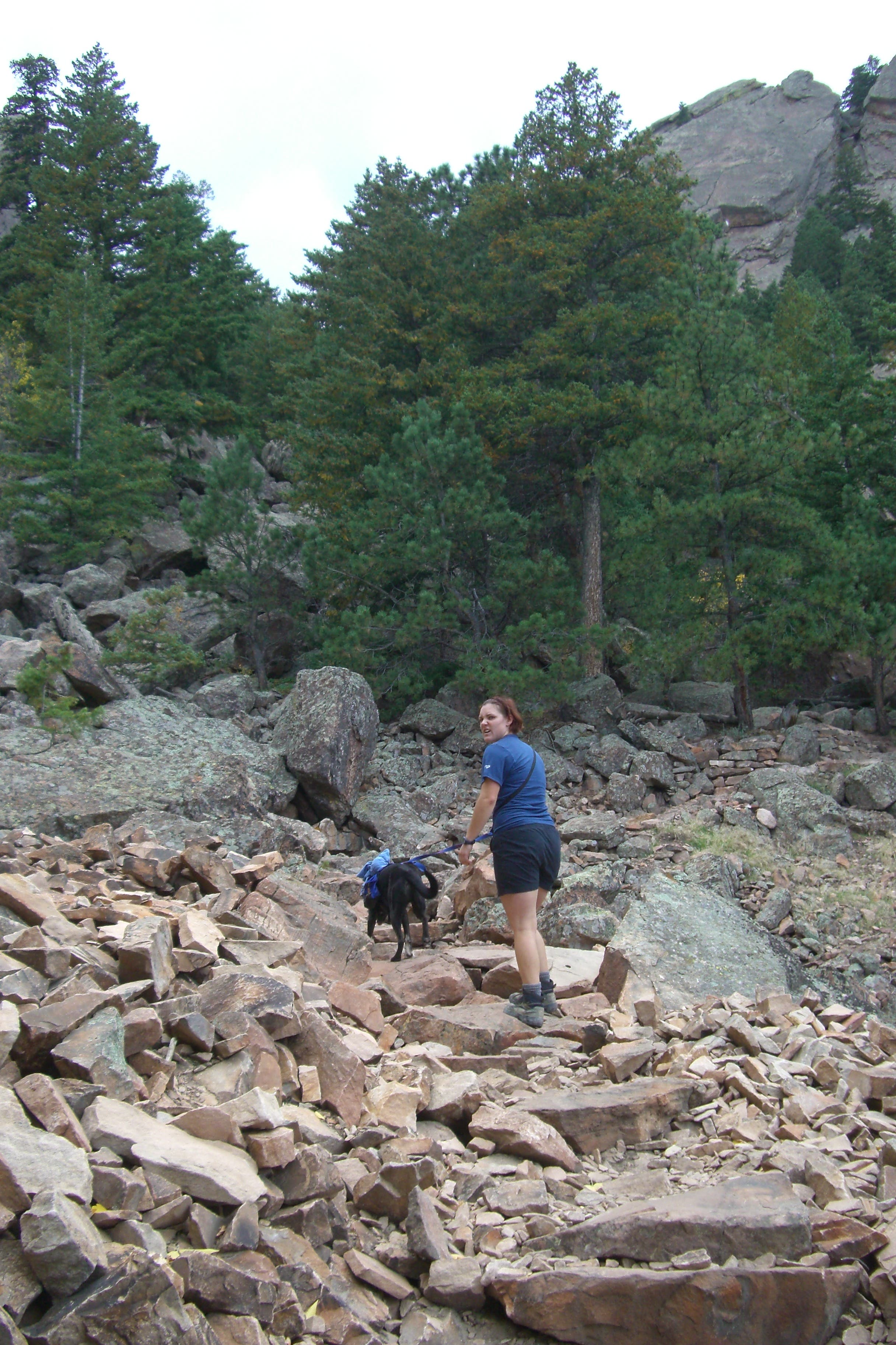 Through the Scree None