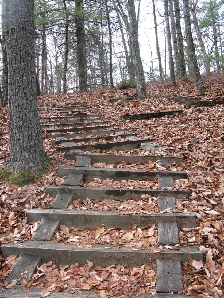 Timber Steps None