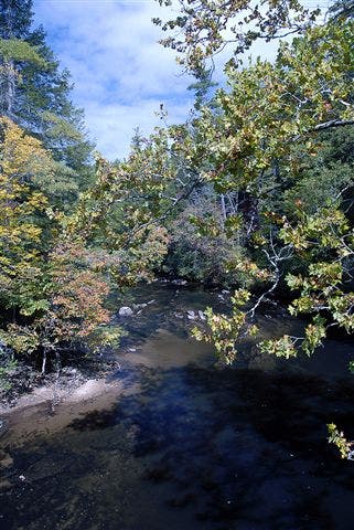 Toccoa River View None