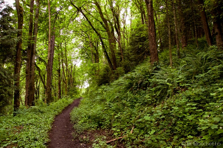 Tolinda Trail None