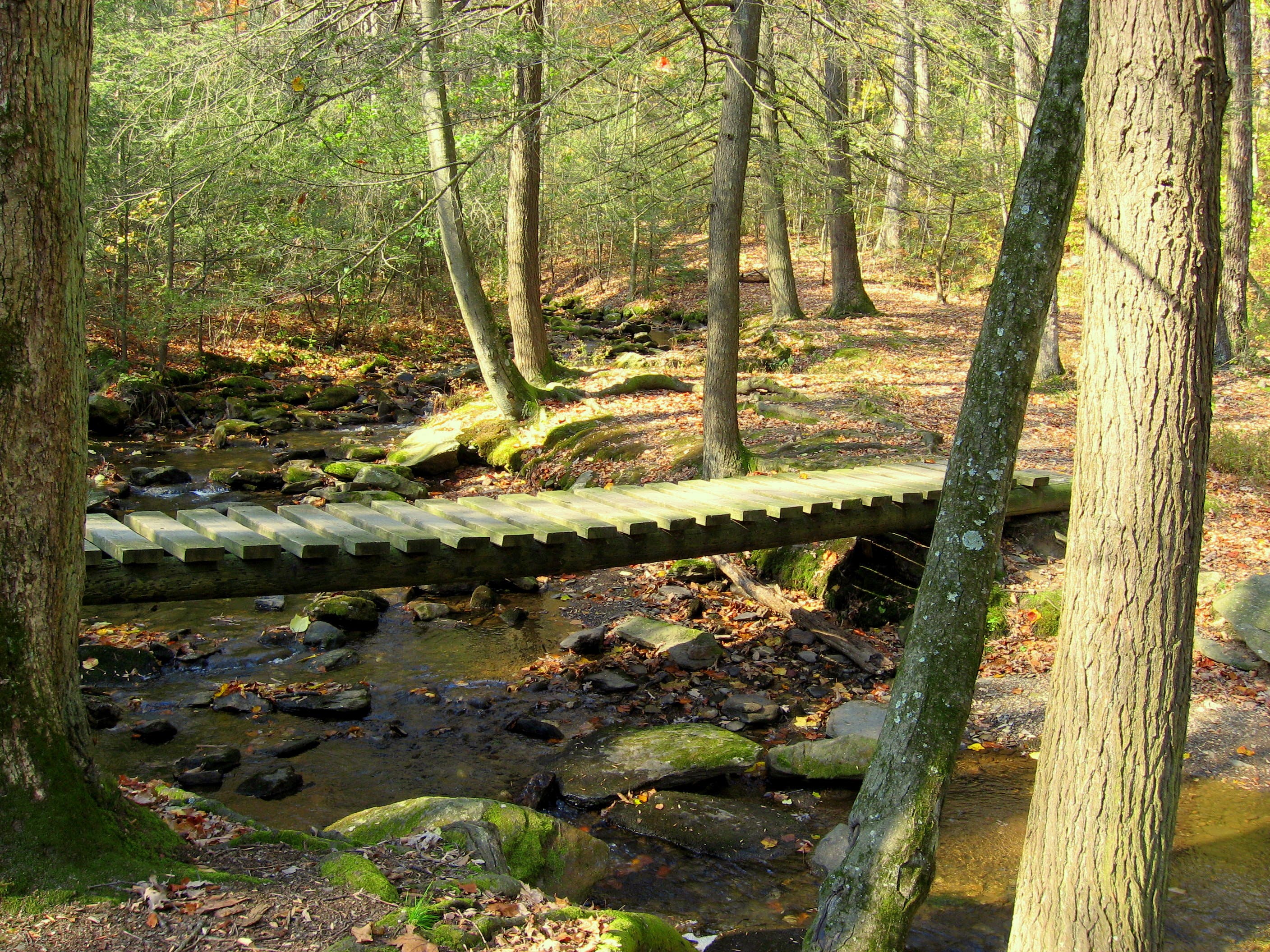 Tom's Run Crossing None