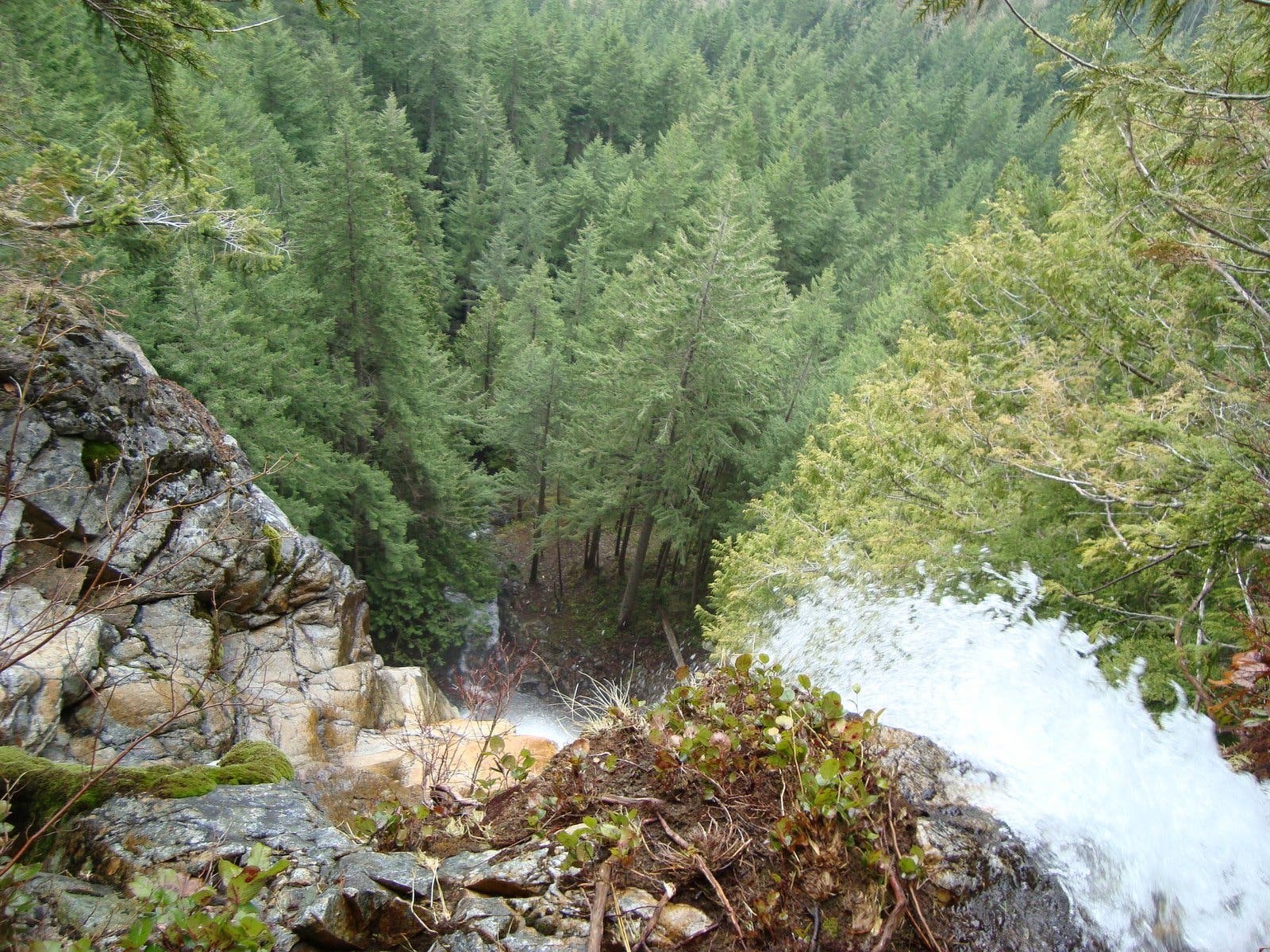 Top of Kamikaze Falls None