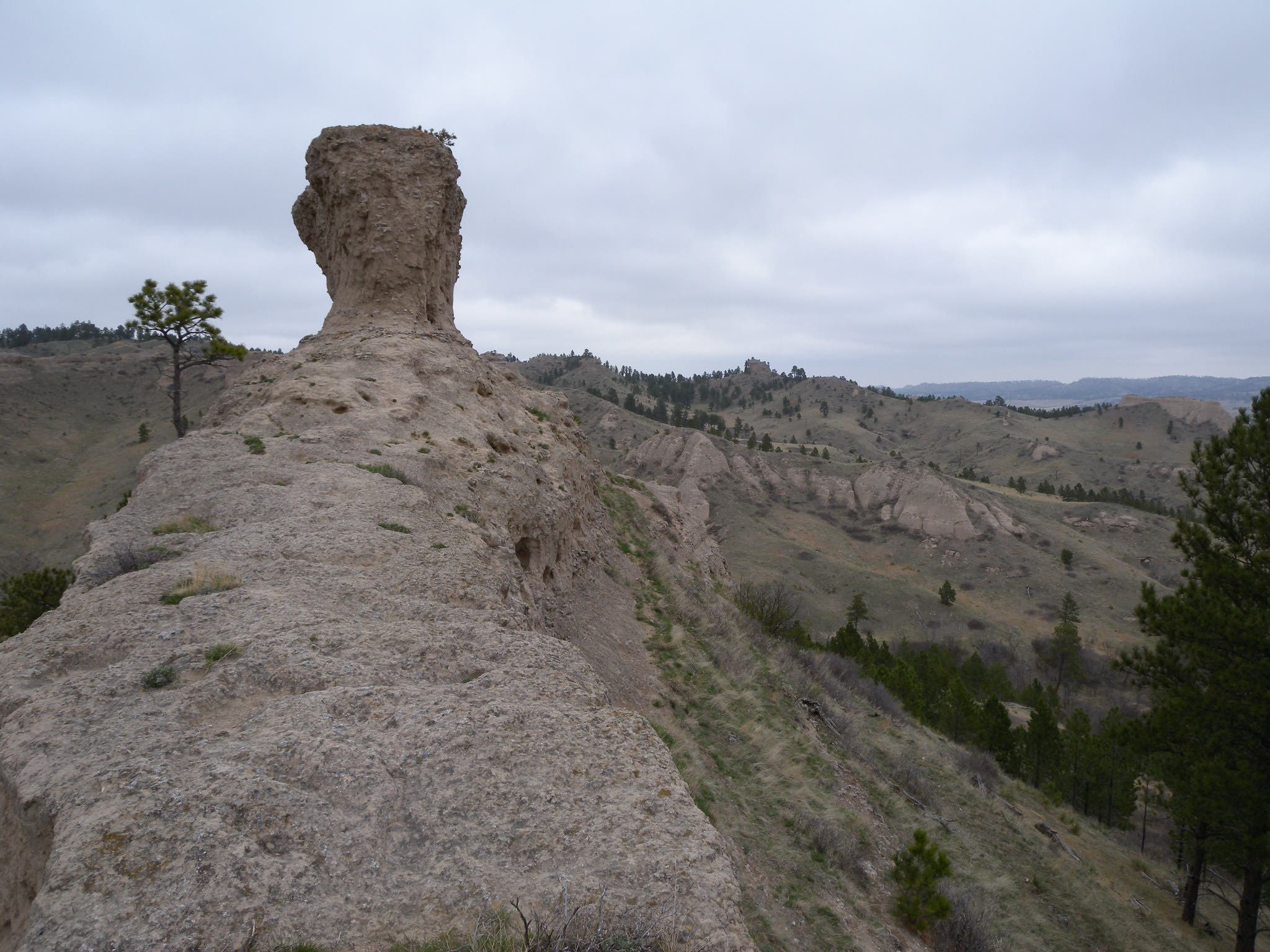 Top of Steamboat Butte None
