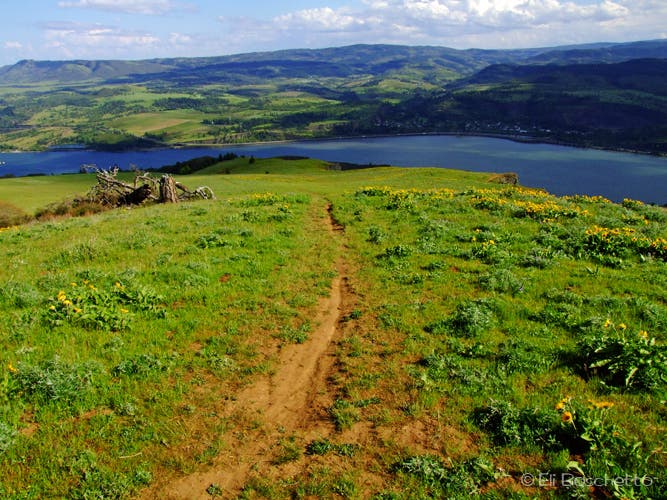 Top of the Wall None