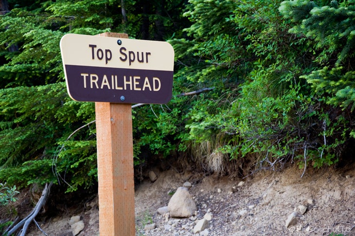 Top Spur None