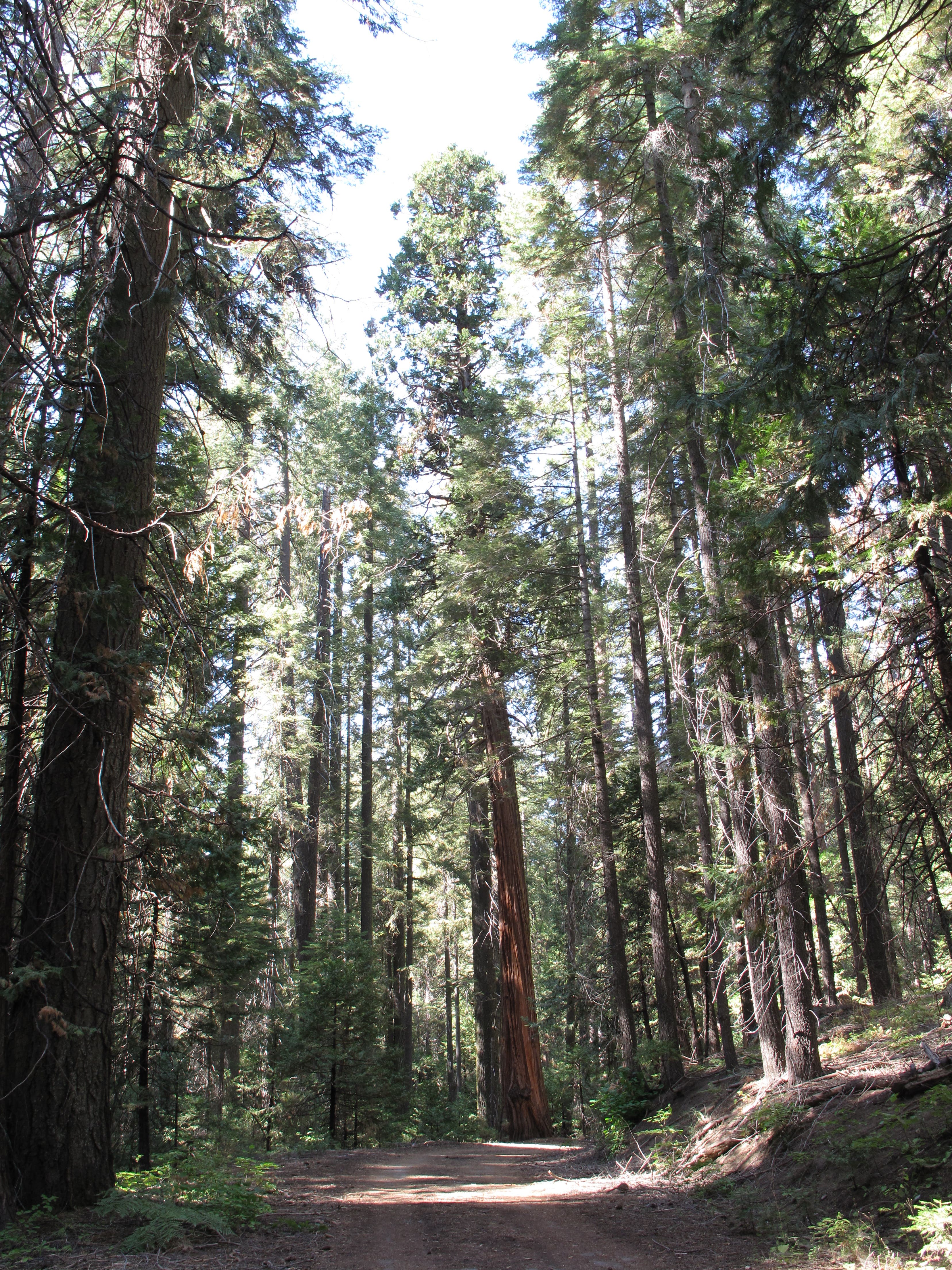 Toward Hodgdon Meadow None