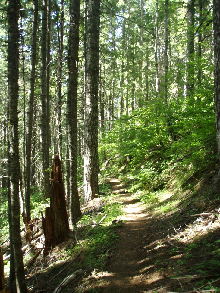 Trail None