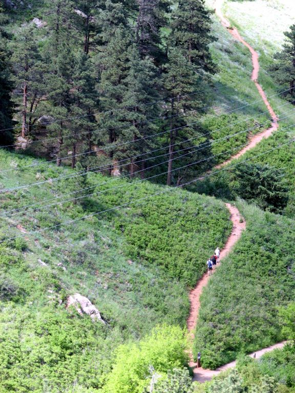 Trail None