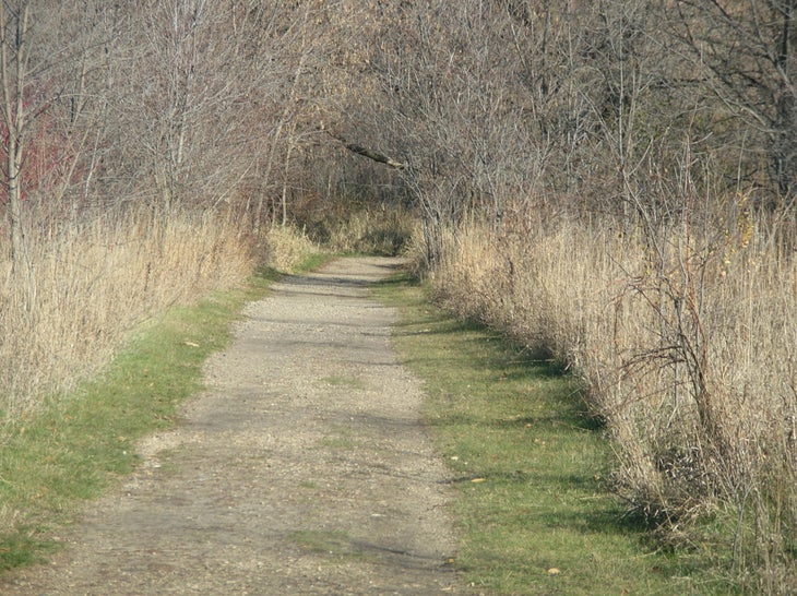 Trail None