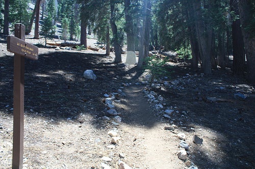 Trail None