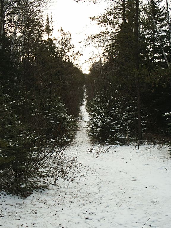 Trail None
