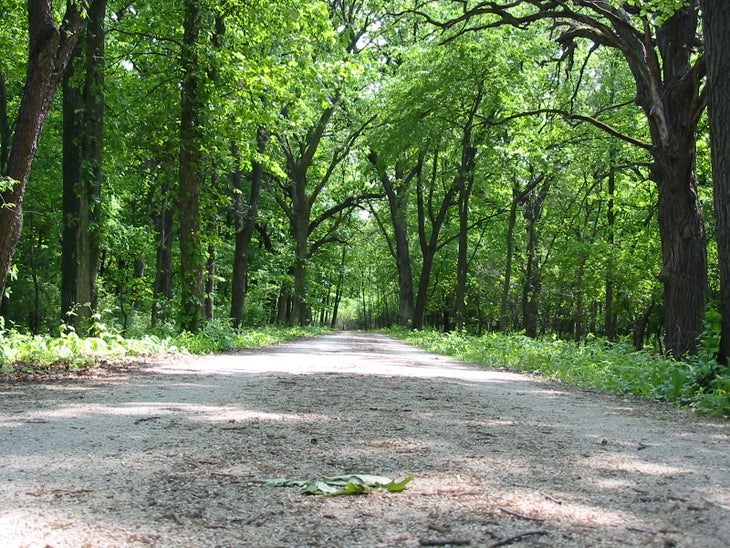 Trail None
