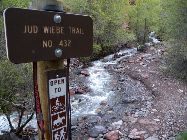 Trail None