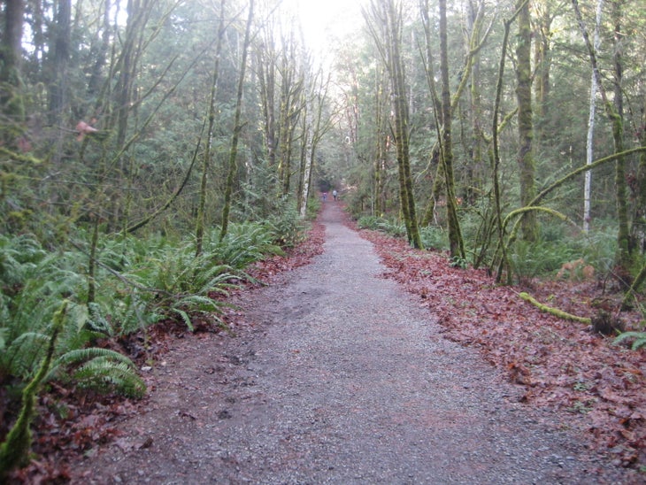 Trail None