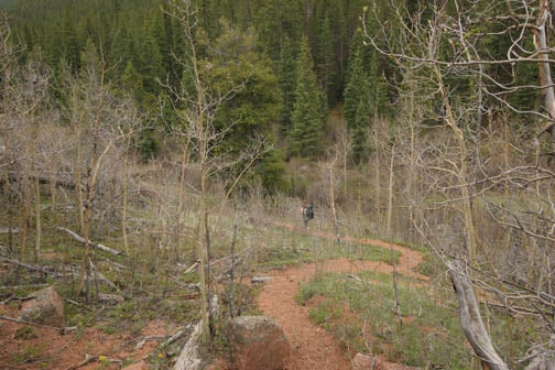Trail None
