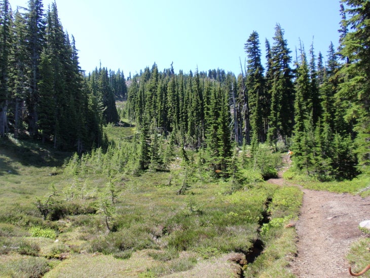 Trail None