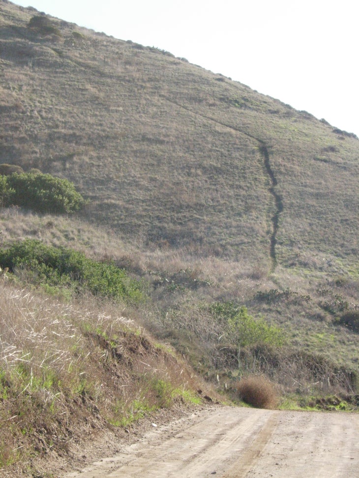 Trail None