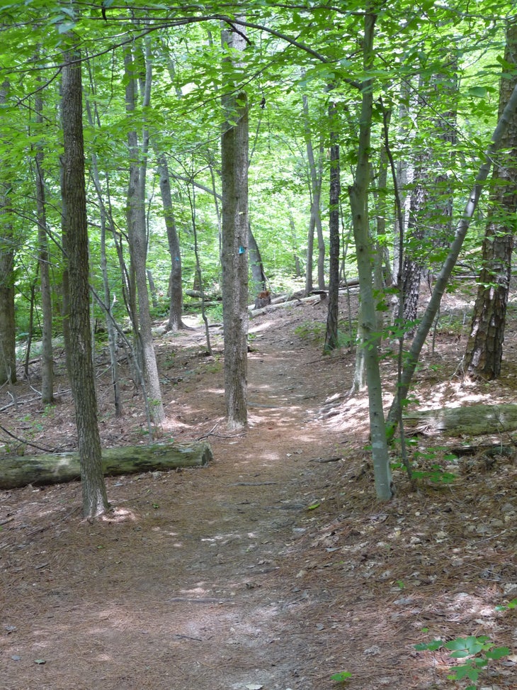 Trail None