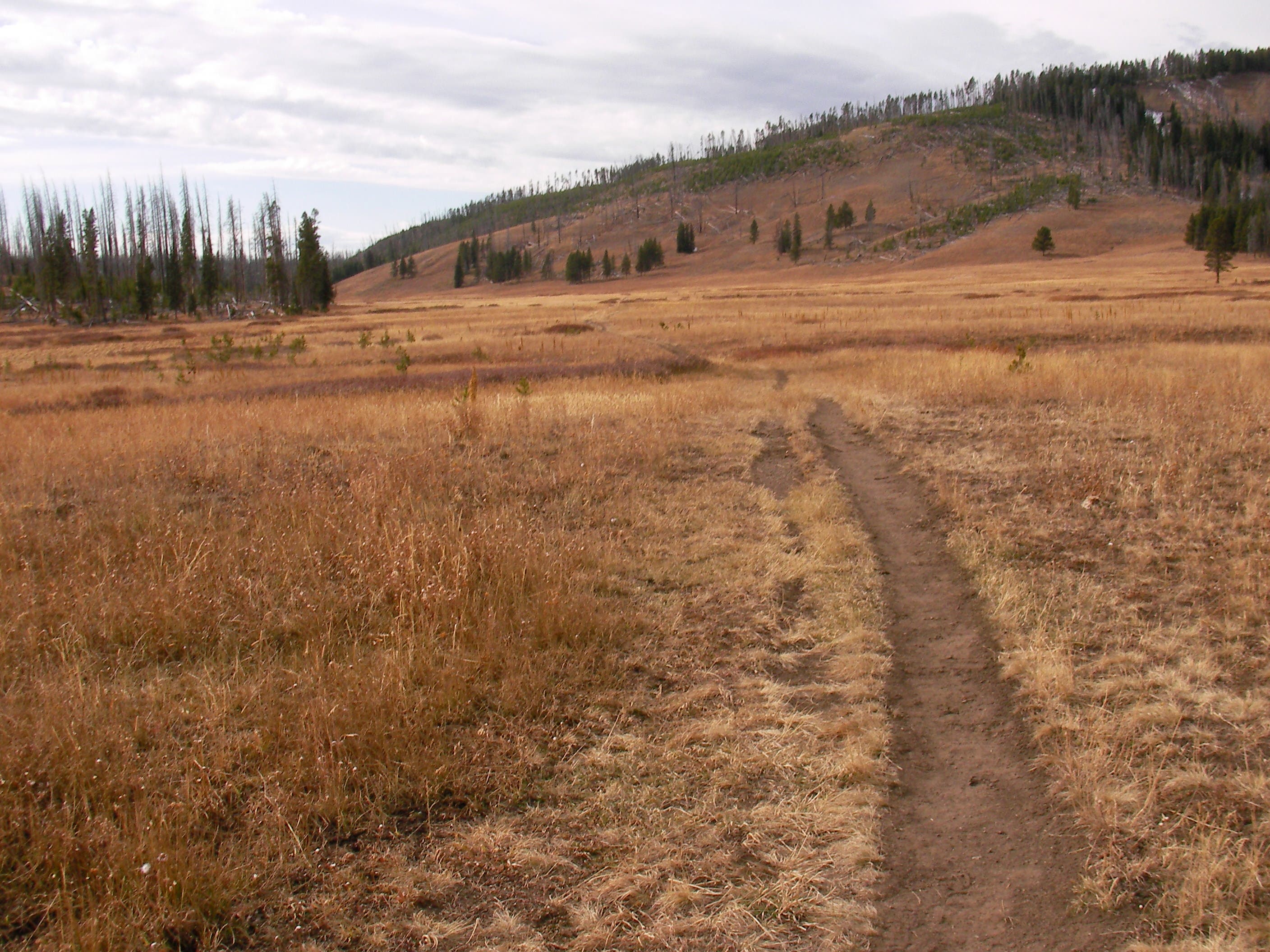 A singletrack dirt trail leading toward Castle Rock.
