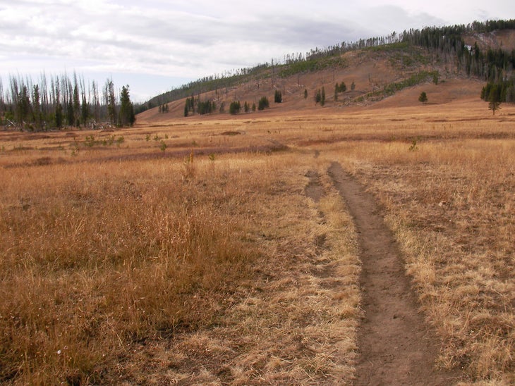 Trail None