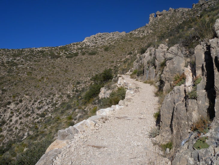 Trail None