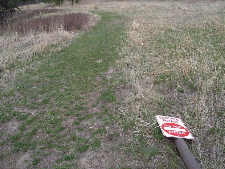Trail None