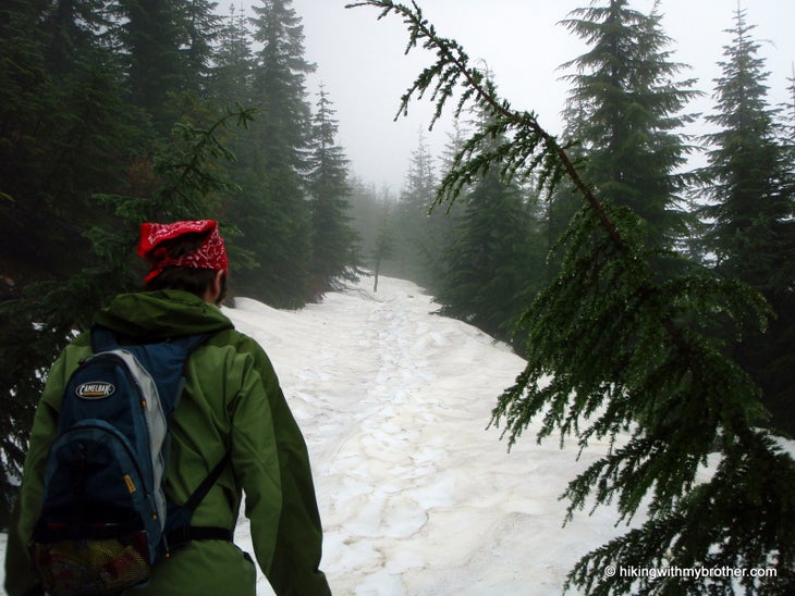 Trail None