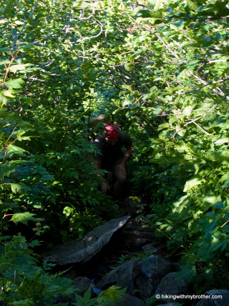 Trail lost maples state park