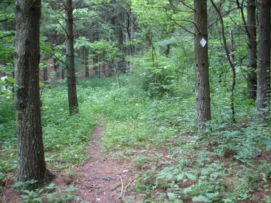 Trail and white marker None