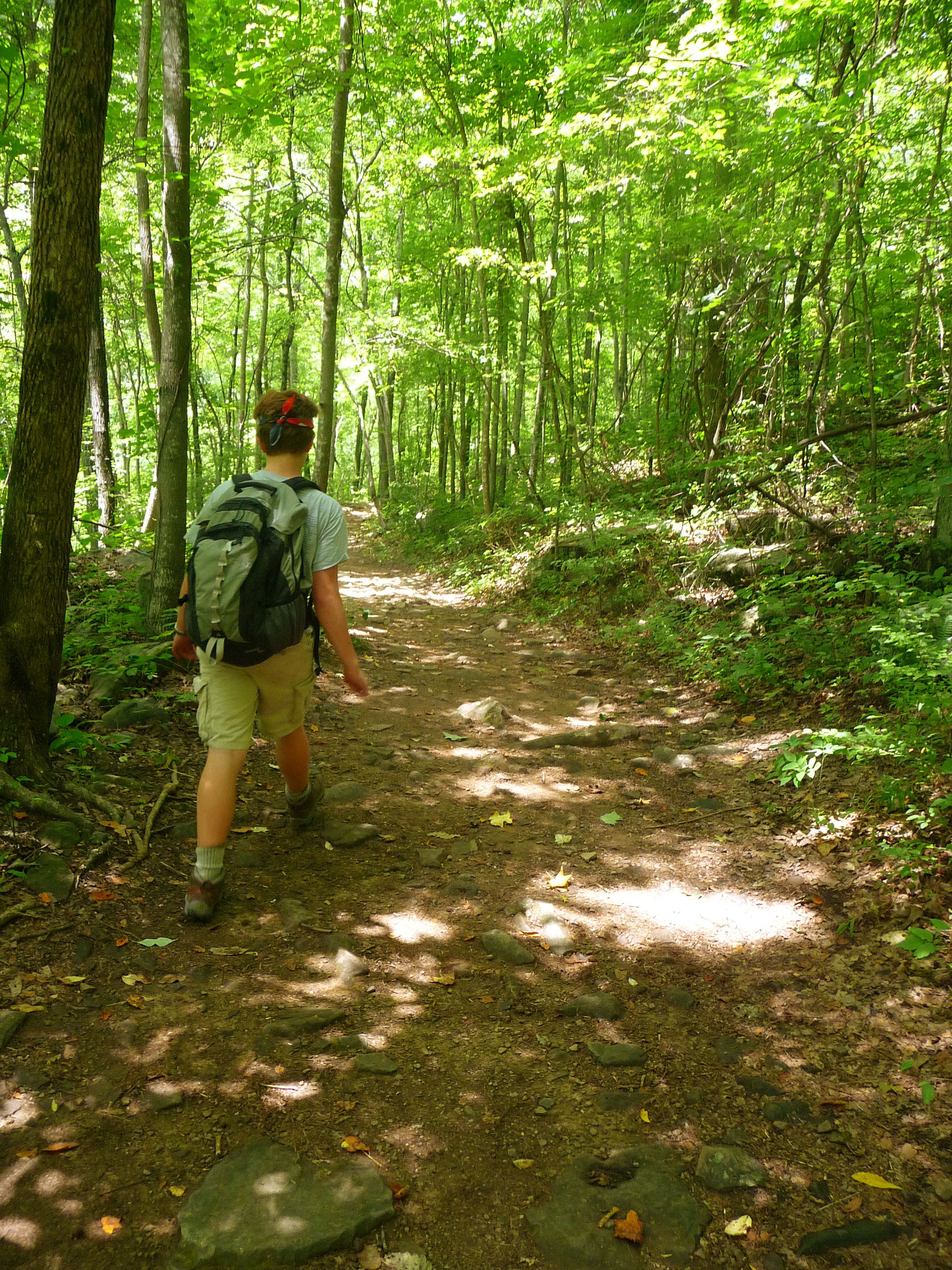Trail begins slow ascent None
