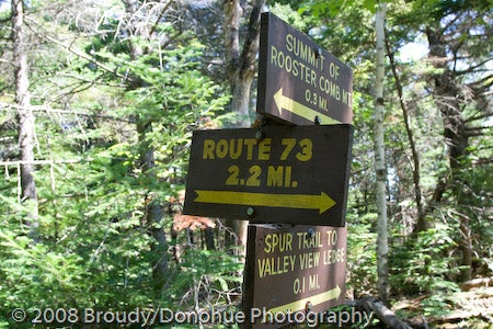 Trail Detour None