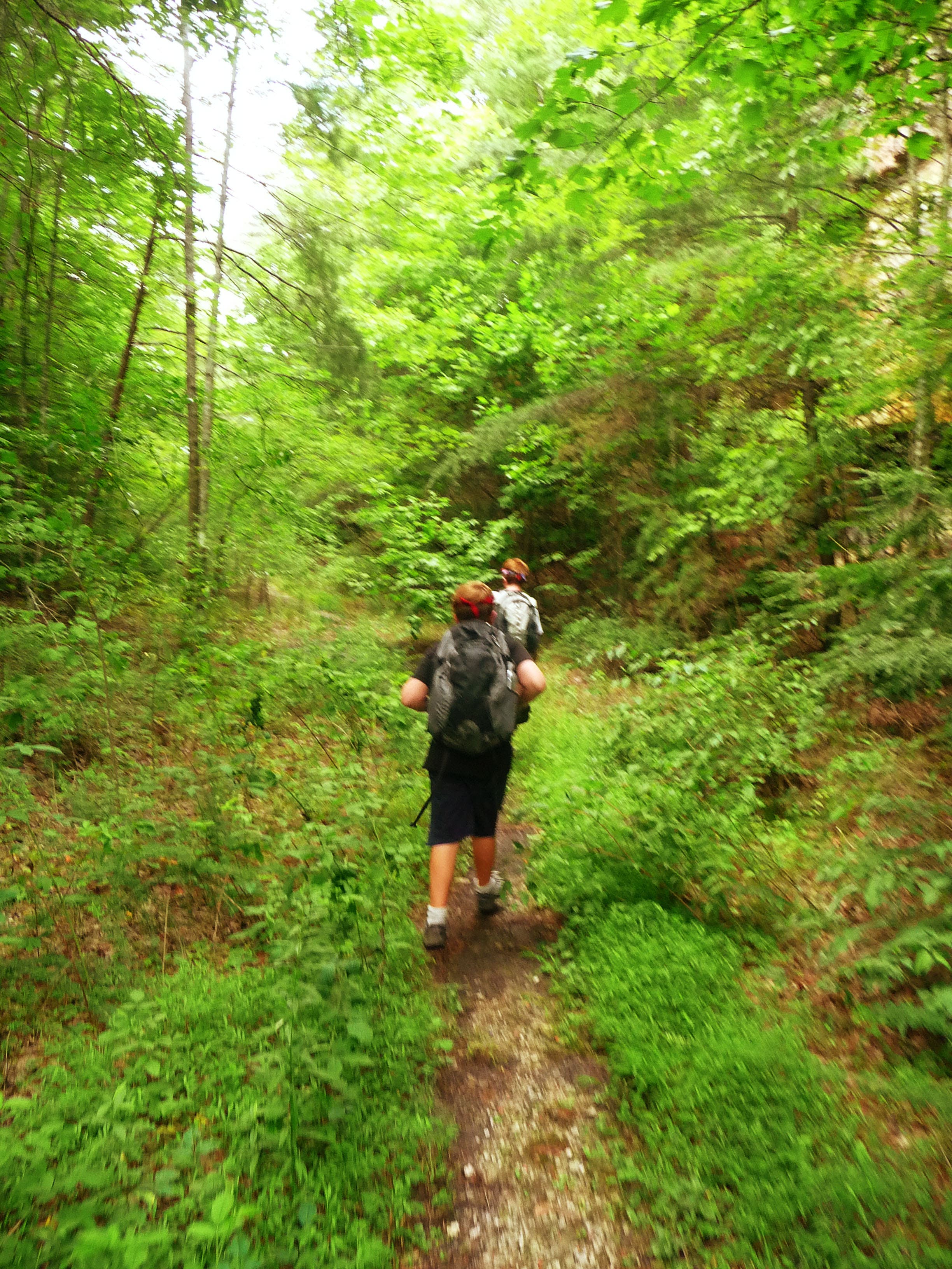 Trail flattens out None