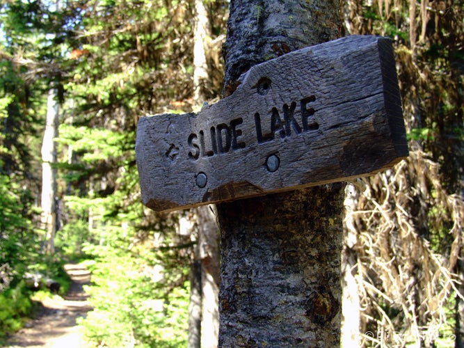 Trail Fork None