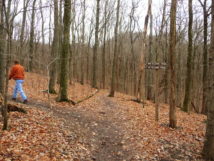 Trail Fork None