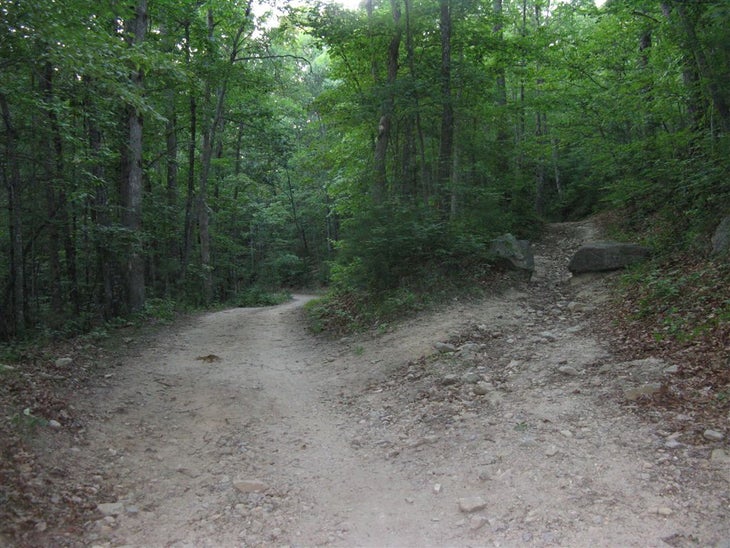Trail Fork None