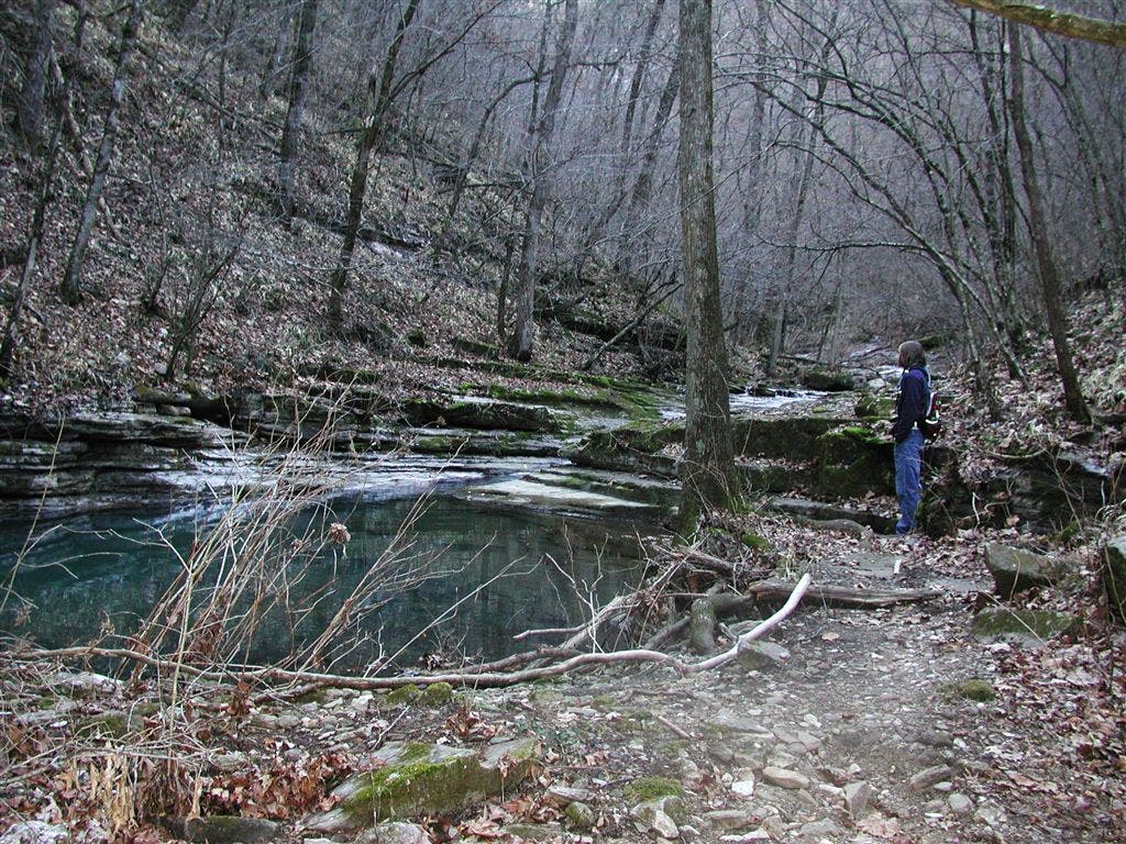 Trail in Indian Creek None