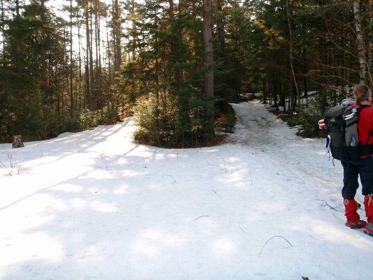Trail in the Middle None