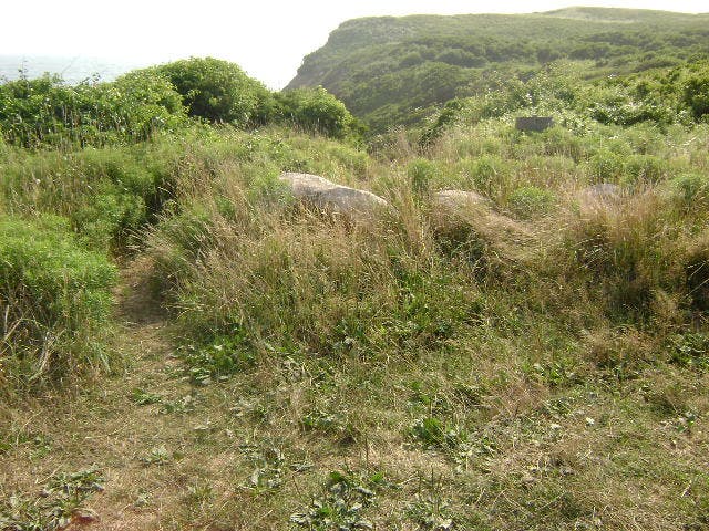 Trail Intersection None